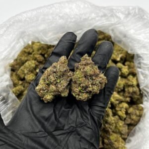 Buy Lemon Cherry Gelato Online โ Top Quality Hybrid | Chemsfine