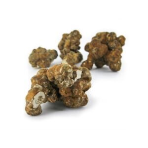 Psilocybe Utopia Magic Truffles โ High Potency Spores Online
